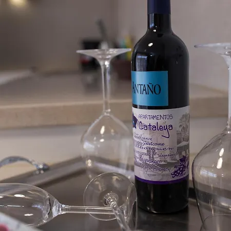 Apartman La Cataleya *